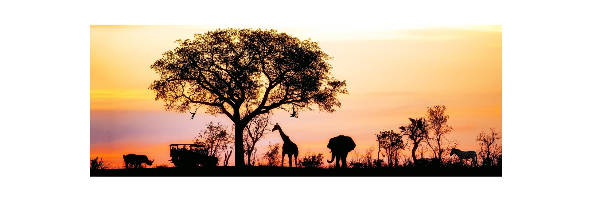 RCG-Reisen GmbH: Erleben Sie die Silhouette von Südafrika, Johannesburg, mit Giraffe, Elefant, Nashorn, Safari, Geiern und Affen